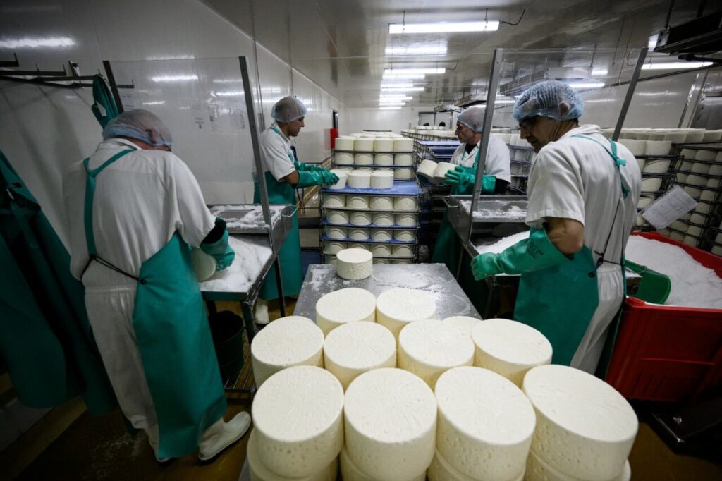 trei-solutii-simple-pentru-a-modifica-gustul-branzei-sarate