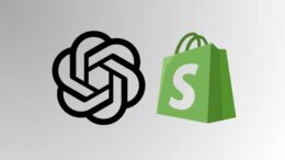 totul-intr-un-loc,-spre-disperarea-google:-cum-iti-vei-putea-face-cumparaturile-direct-in-chatgpt