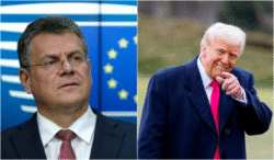 europa-este-gata-sa-ii-faca-lui-donald-trump-o-oferta-comerciala-de-50-de-miliarde-de-euro