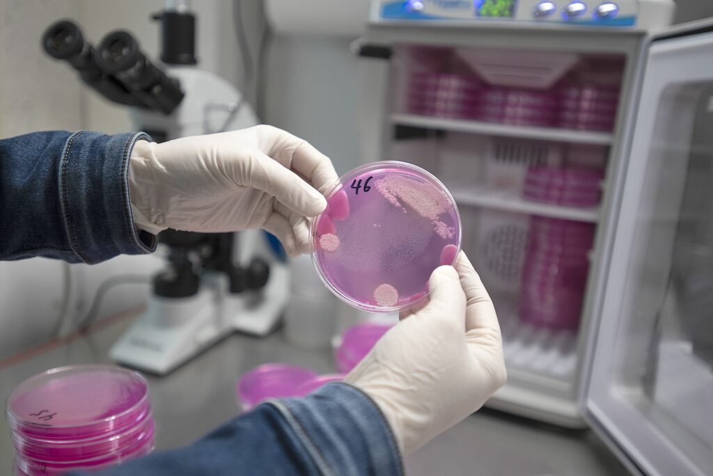 expertii-trag-un-semnal-de-alarma:-o-ciuperca-patogena-ar-putea-ucide-milioane-de-oameni