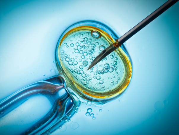 normele-pentru-programul-de-fertilizare-in-vitro,-in-dezbatere-publica