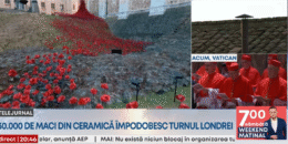 turnul-londrei,-impodobit-cu-30000-de-maci-din-ceramica.-ce-simbolizeaza