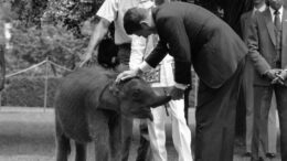 de-la-elefanti-la-role,-o-istorie-a-cadourilor-straine-catre-presedintii-americani