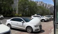 secretul-masinilor-insarcinate-din-china.-sunt-marci-europene-celebre