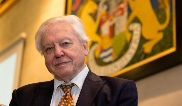 david-attenborough,-unul-dintre-cei-mai-iubiti-naturalisti,-avertisment-la-aproape-100-de-ani