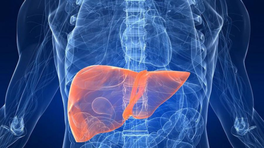 terapia-care-ar-putea-ajuta-la-prevenirea-cancerului-hepatic-provocat-de-alimente