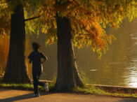 oamenii-foarte-activi-fizic-pot-deveni-temporar-mai-vulnerabili-la-infectii,-arata-un-studiu