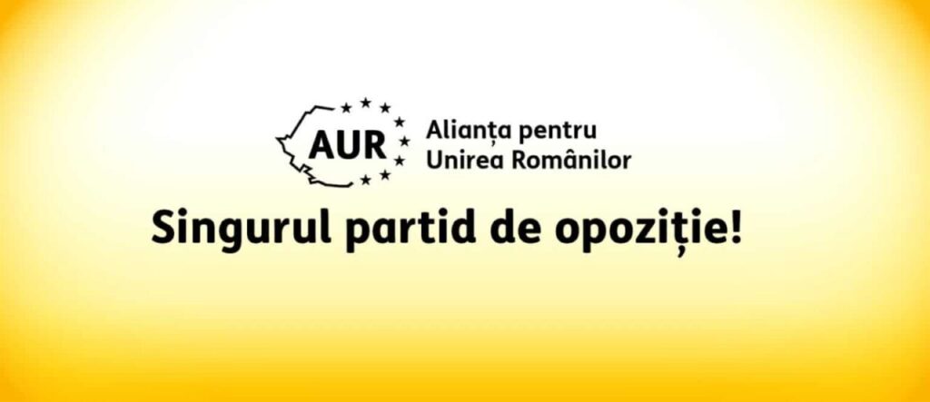 aur-nu-gireaza-un-un-premier-al-sistemului-/-romanii-nu-au-votat-pentru-austeritate