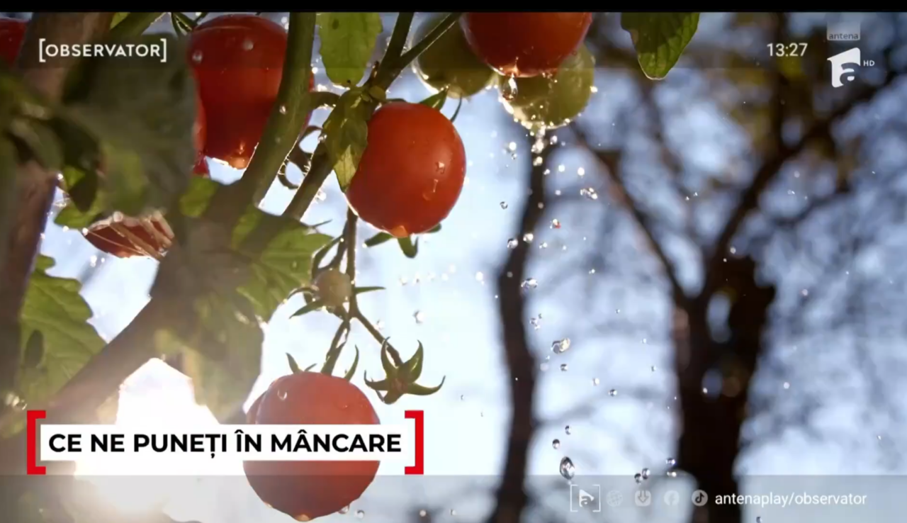 cum-ne-pot-pune-sanatatea-in-pericol-rosiile-cu-pesticide