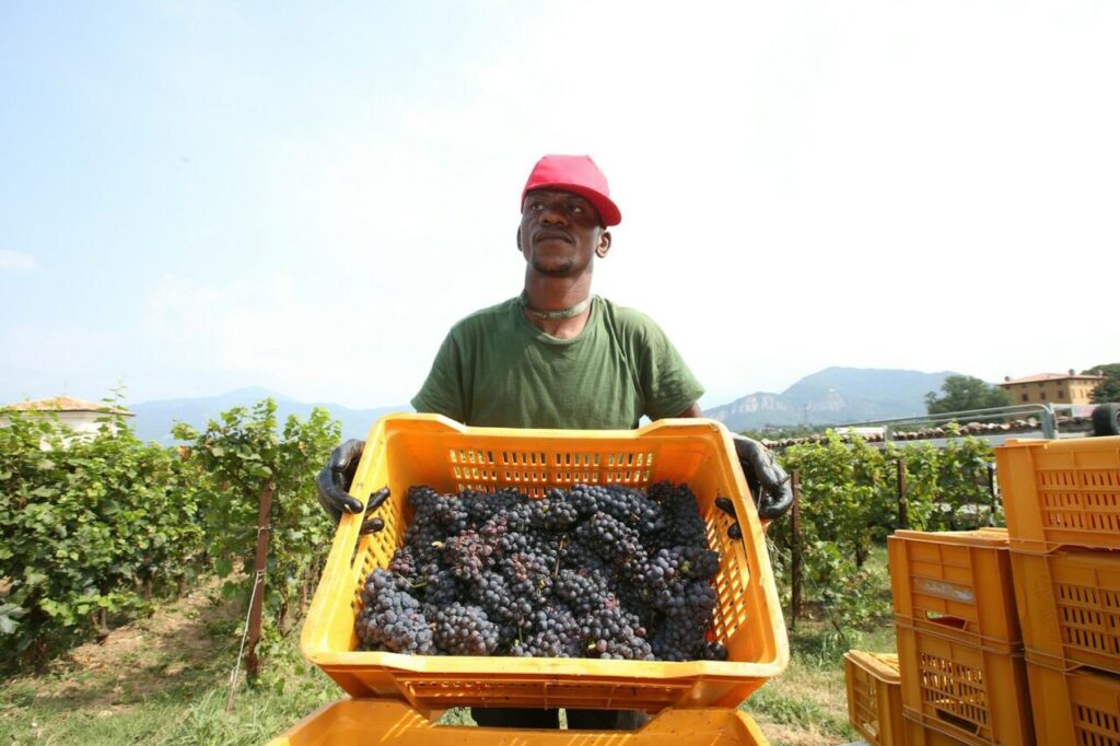 italia-cauta-sa-atraga-500.000-de-noi-angajati-din-afara-uniunii-europene-intre-2026-si-2028