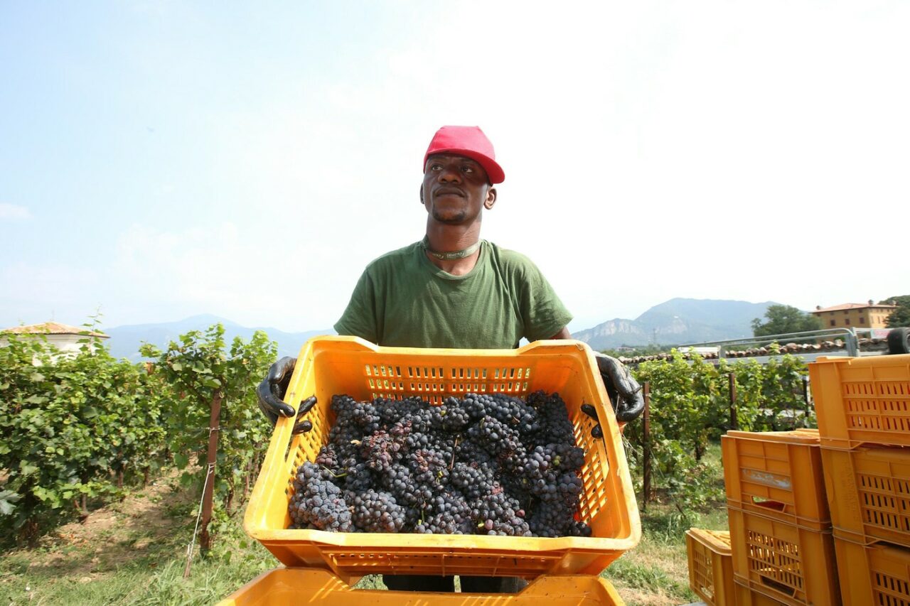 italia-cauta-sa-atraga-500.000-de-noi-angajati-din-afara-uniunii-europene-intre-2026-si-2028