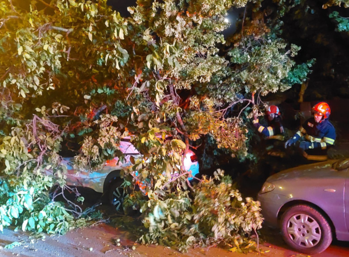 incident-in-iasi:-un-arbore-s-a-prabusit-peste-un-autoturism-parcat