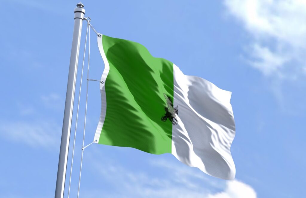 peste-40-de-membri-ai-grupurilor-de-autoaparare-ucisi-in-nigeria-intr-o-ambuscada-mortala