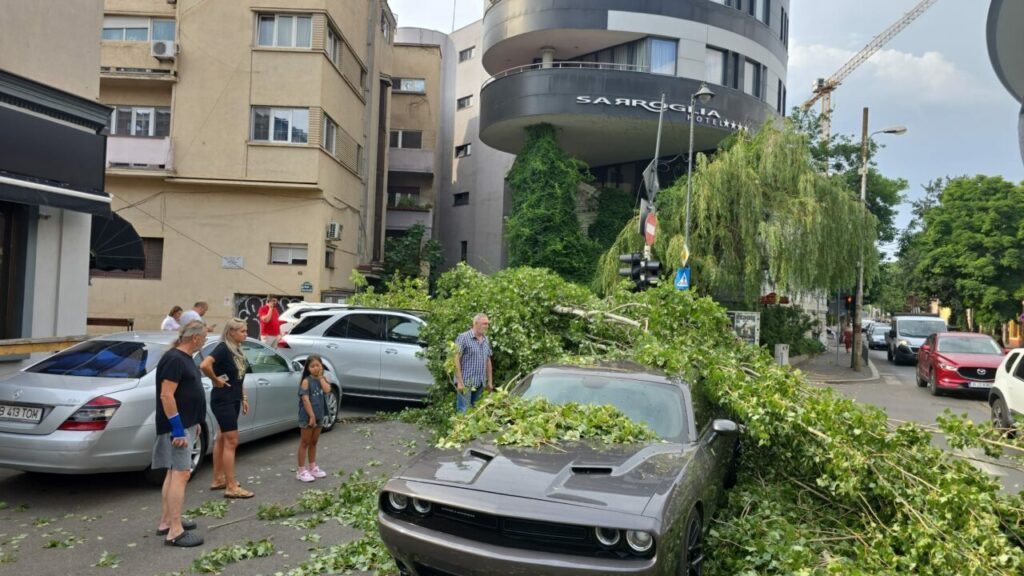 furtuna-a-facut-din-nou-prapad-in-capitala.-zeci-de-copaci-rupti-si-masini-distruse