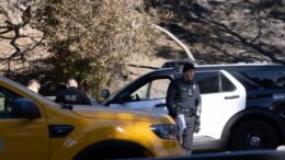 soferul-care-a-intrat-cu-masina-in-multime-la-un-club-din-los-angeles-ar-fi-fost-impuscat