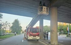 alerta-la-iasi:-bucati-de-beton-din-pasajul-nicolina-s-au-prabusit-pe-carosabil