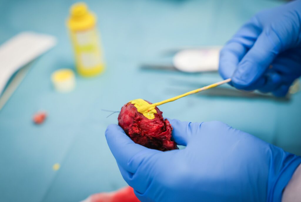 organismul-de-stat-din-slovenia-respinge-legea-privind-moartea-asistata