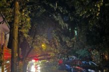 furtuna-a-facut-ravagii-in-iasi:-arbori-cazuti-peste-masini-in-mai-multe-zone-din-oras