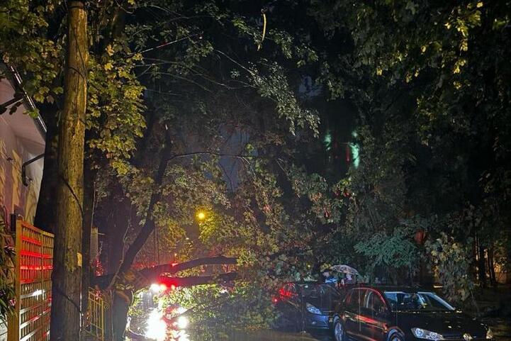 furtuna-a-facut-ravagii-in-iasi:-arbori-cazuti-peste-masini-in-mai-multe-zone-din-oras