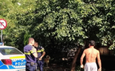 incident-bizar-in-iasi:-doi-concubini-au-blocat-traficul-si-au-alertat-politia