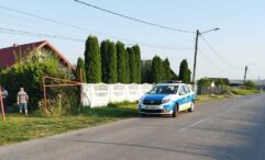 un-iesean-a-pierdut-din-lesa-un-ras-care-a-bagat-spaima-in-locuitorii-din-falticeni