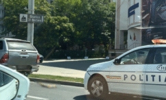 scena-revoltatoare-in-pacurari:-un-pui-de-vulpe-tarat-pe-asfalt,-in-spatele-unei-masini