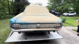 cum-arata-un-mustang-care-a-stat-peste-30-de-ani-abandonat-intr-o-baraca-ponosita