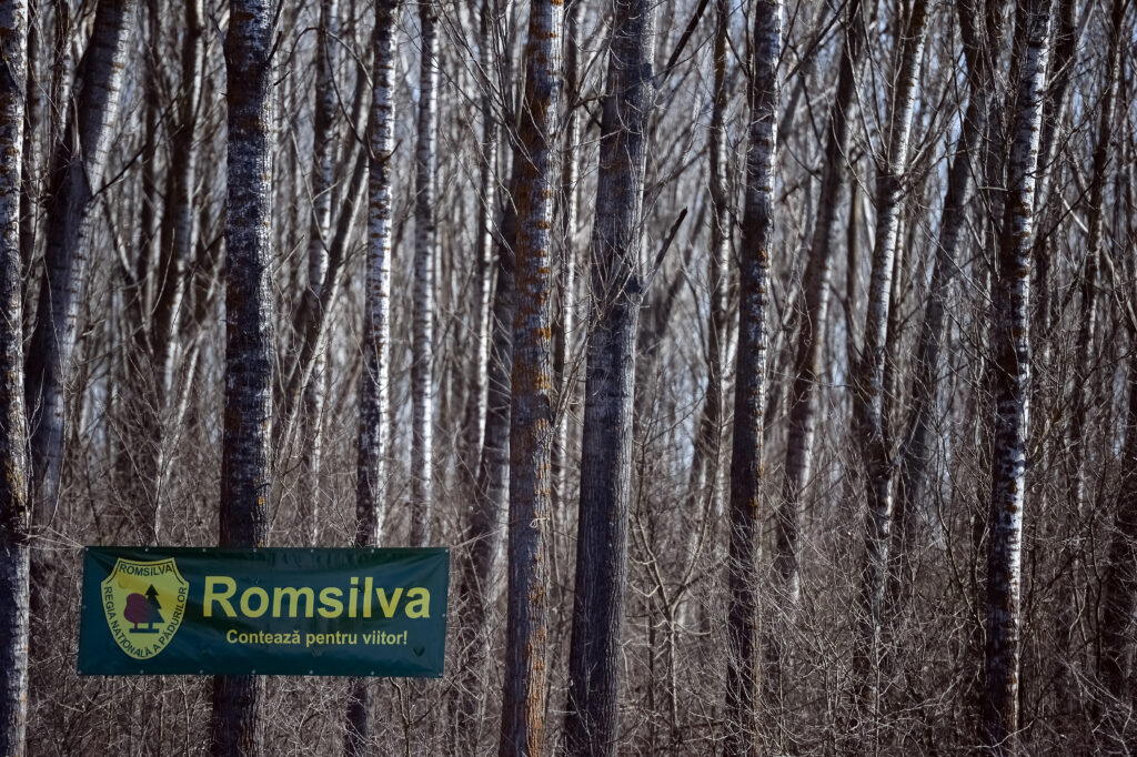 ministerul-mediului-lanseaza-selectia-publica-pentru-inspectorii-sefi-ai-garzilor-forestiere