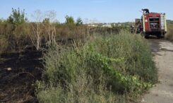 incendiu-devastator-la-gradina-botanica-iasi!-a-ars-vegetatia-de-pe-10.000-de-mp