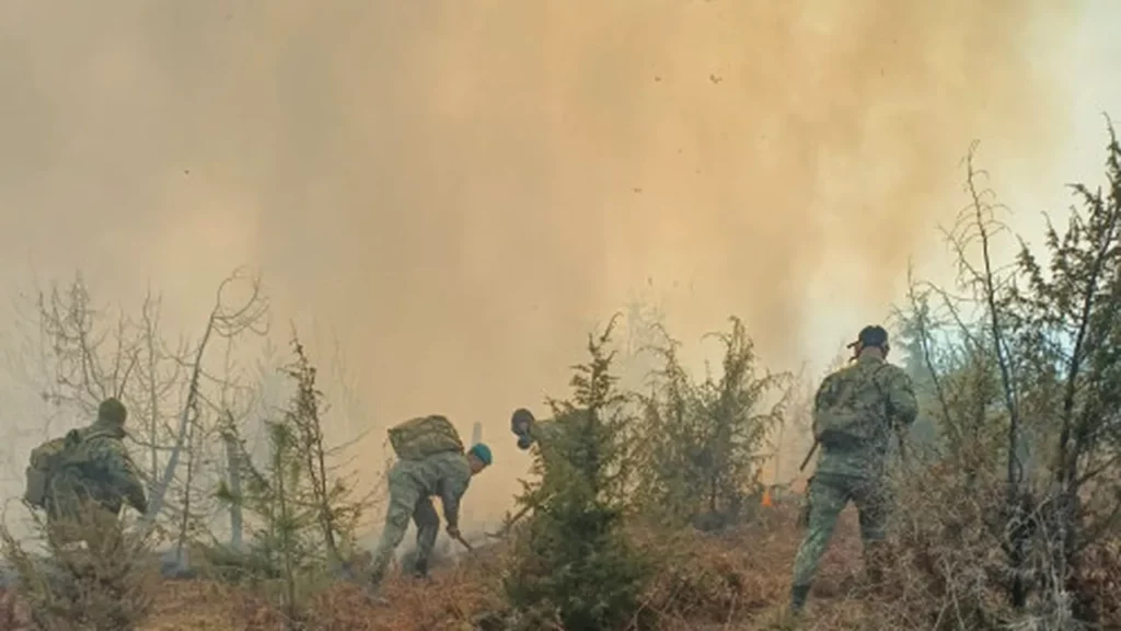 spania-anunta-sfarsitul-incendiilor-devastatoare-care-au-ars-350.000-de-hectare