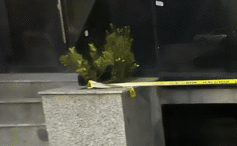 moarte-suspecta-la-iasi!-un-barbat-a-fost-descoperit-mort-pe-bulevardul-poitiers