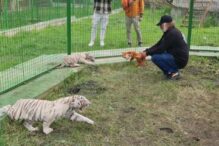 fenomenul-animalelor-agresive-de-la-zoo.-baiat-muscat-in-suceava