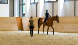 baza-hipica-a-usv-iasi,-locul-unde-copiii-descopera-curajul-si-disciplina