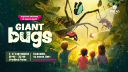 expozitia-educativa-giant-bugs-aduce-la-palas-o-lume-nevazuta,-marita-de-mii-de-ori