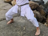 cutremur-in-artele-martiale!-numele-vechi-din-conducere-fac-un-pas-in-spate:-am-o-alta-viziune