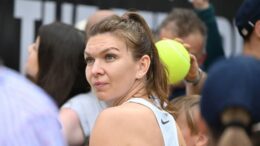 simona-halep-isi-face-o-noua-afacere-in-satul-culmea-si-le-da-americanilor-peste-nas