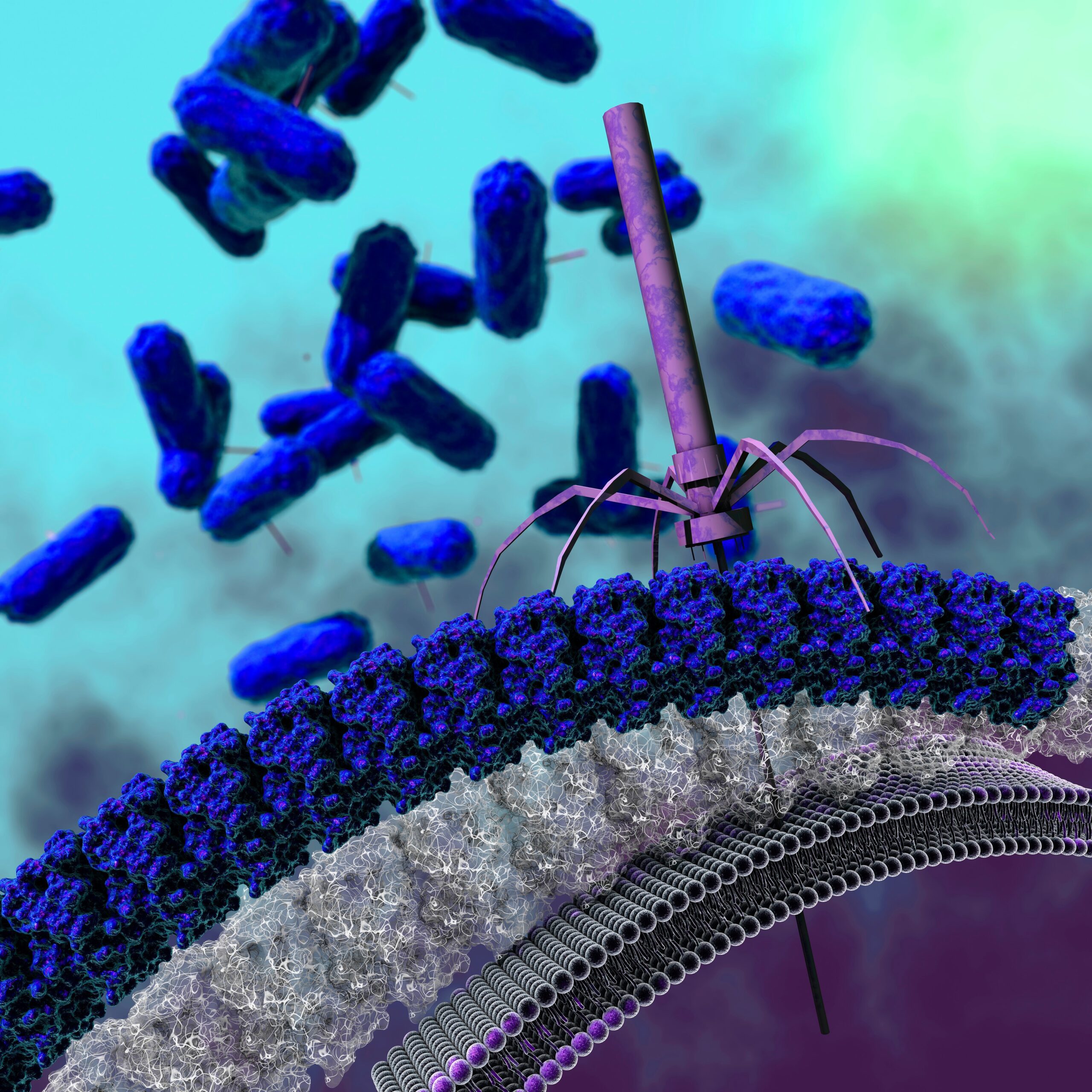 cazurile-de-bacterii-de-cosmar-sunt-in-crestere-in-statele-unite