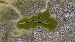 schimbarile-climatice-si-poluarea-ameninta-resursele-europei,-avertizeaza-uniunea-europeana