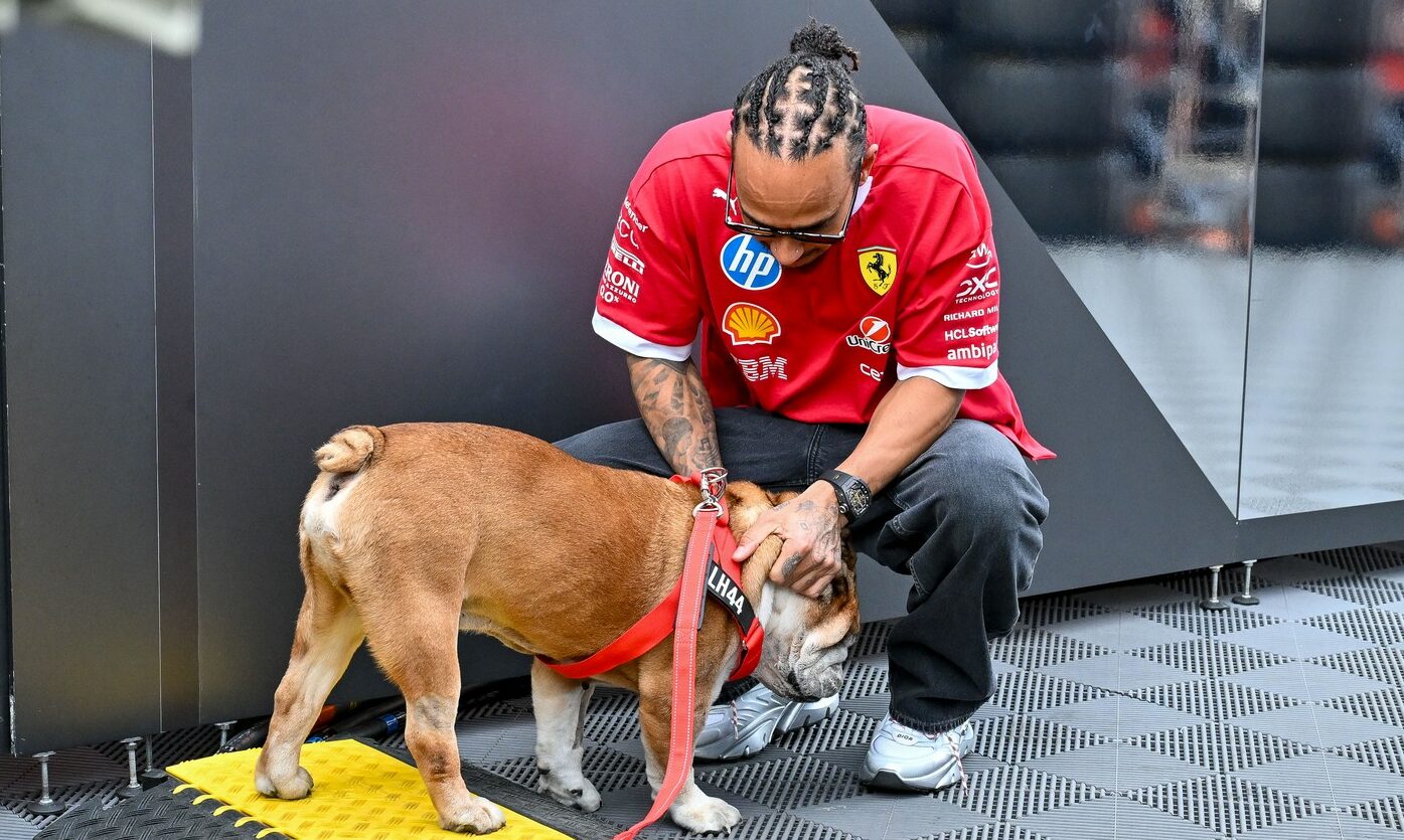 lewis-hamilton,-devastat-dupa-moartea-lui-roscoe,-buldogul-sau:-mi-am-pierdut-cel-mai-bun-prieten