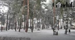 unde-au-loc-primele-episoade-de-ninsori-abundente-si-viscol.-vreme-rea-in-jumatate-de-tara