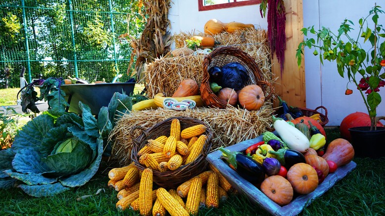 zilele-recoltei-2025-la-iasi:-peste-90-de-producatori-aduc-bunatati-traditionale