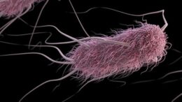 una-din-sase-infectii-bacteriene-este-acum-rezistenta-la-antibiotice