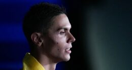 gestul-lui-david-popovici-a-dus-la-salvarea-a-doi-caini:-au-fost-gasiti