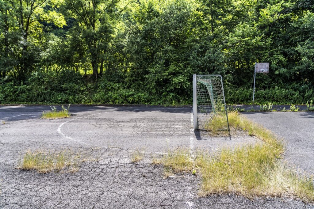 baza-sportiva-construita-de-ceausescu-sa-fie-o-mandrie-a-orasului-constanta-a-ajuns-o-jungla