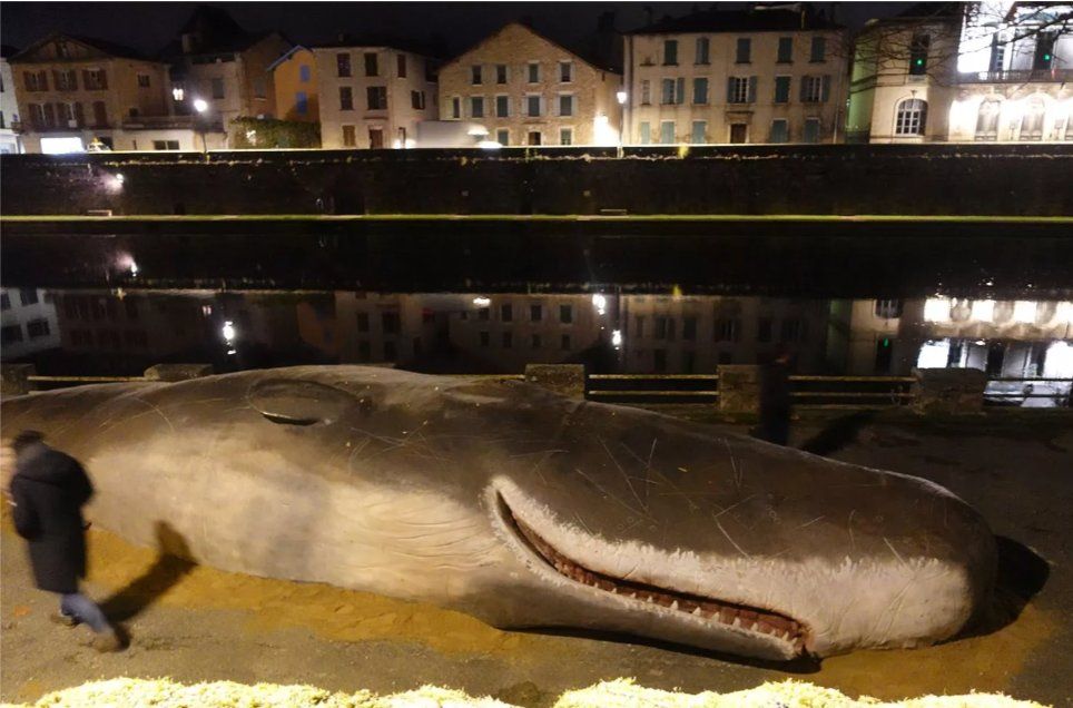 cum-a-fost-posibil-ca-un-casalot-sa-esueze-intr-un-oras-situat-la-mai-mult-de-200-km-de-mare