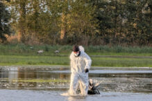 primul-deces-uman-cauzat-de-virusul-gripei-aviare-h5n5-inregistrat-in-sua