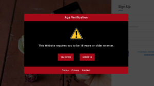 accesarea-retelelor-sociale-si-chatboti-ai,-interzisa-pana-la-varsta-de-16-ani