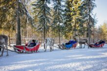 cat-costa-o-vacanta-in-laponia-si-care-sunt-atractiile-turistice-pe-taramul-lui-mos-craciun.-pachetele-includ-zborul,-cazarea-si-unele-activitati