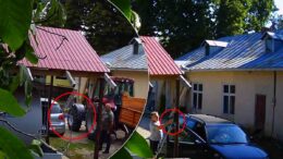 in-comuna-dobrovat,-pentru-a-beneficia-de-combustibil-gratuit,-trebuie-doar-sa-cunosti-functionarul-public-potrivit!-iata-cine-mai-beneficiaza-de-motorina-platita-din-bugetul-local