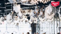 ati-mai-vazut-un-loc-atat-de-frumos-decorat,-de-sarbatori,-in-iasi?-cei-100-de-mosi-din-plus-si-60-de-coronite-de-la-mamma-mia-au-transformat-totul-intr-o-poveste